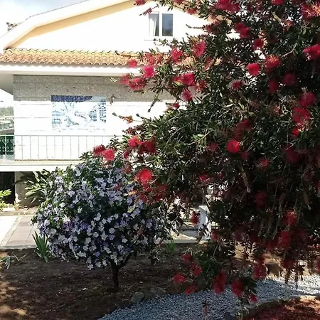 Da Feira Felgueiras